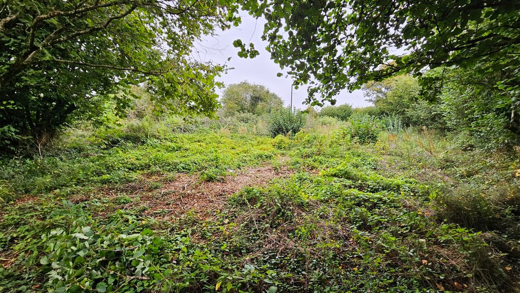 Property photo 1 of 2
