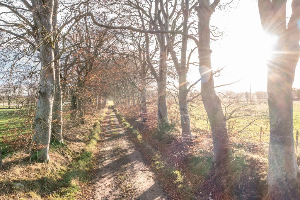Additional image 11 of Land for saleNether Aden, Mintlaw, Aberdeenshire AB42