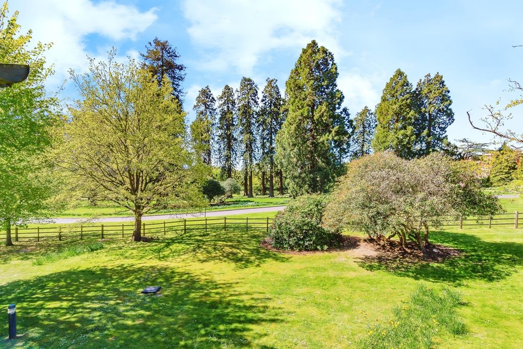 Property photo 1 of 13 Photo