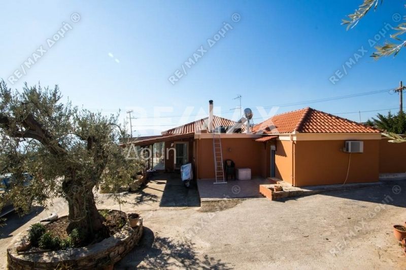 Property photo 3 of 24