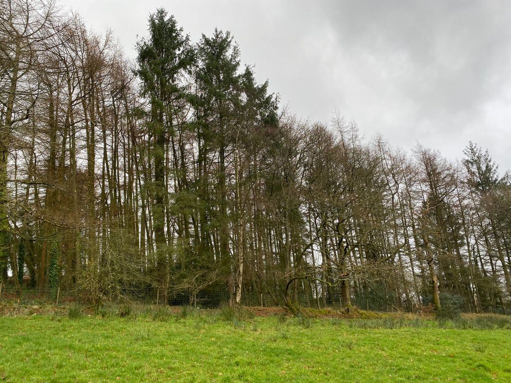 Property photo 3 of 3
