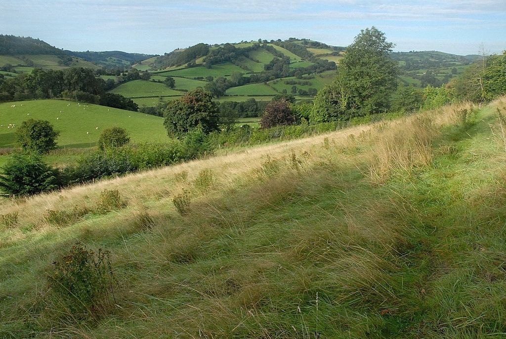 Additional image 37 of 4 bed detached house for saleLlanfyllin, Powys SY22