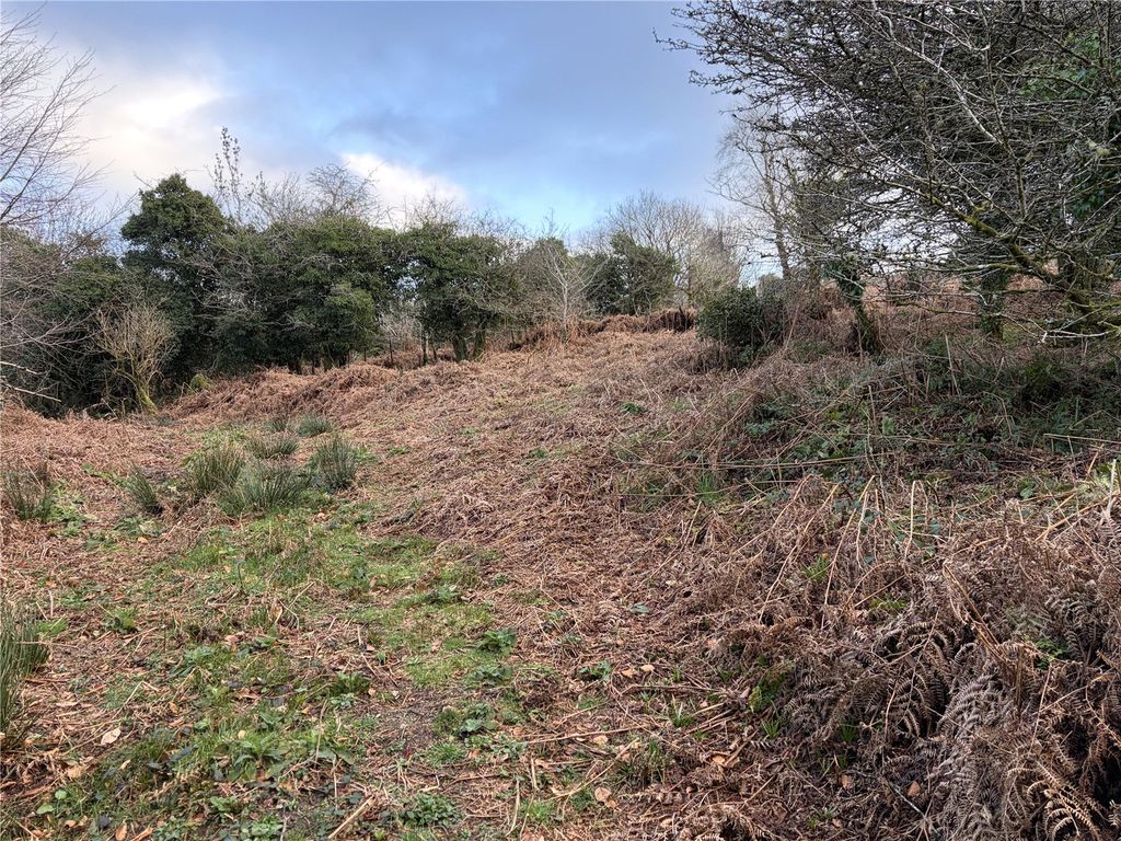 Property photo 2 of 8 Picture No. 13