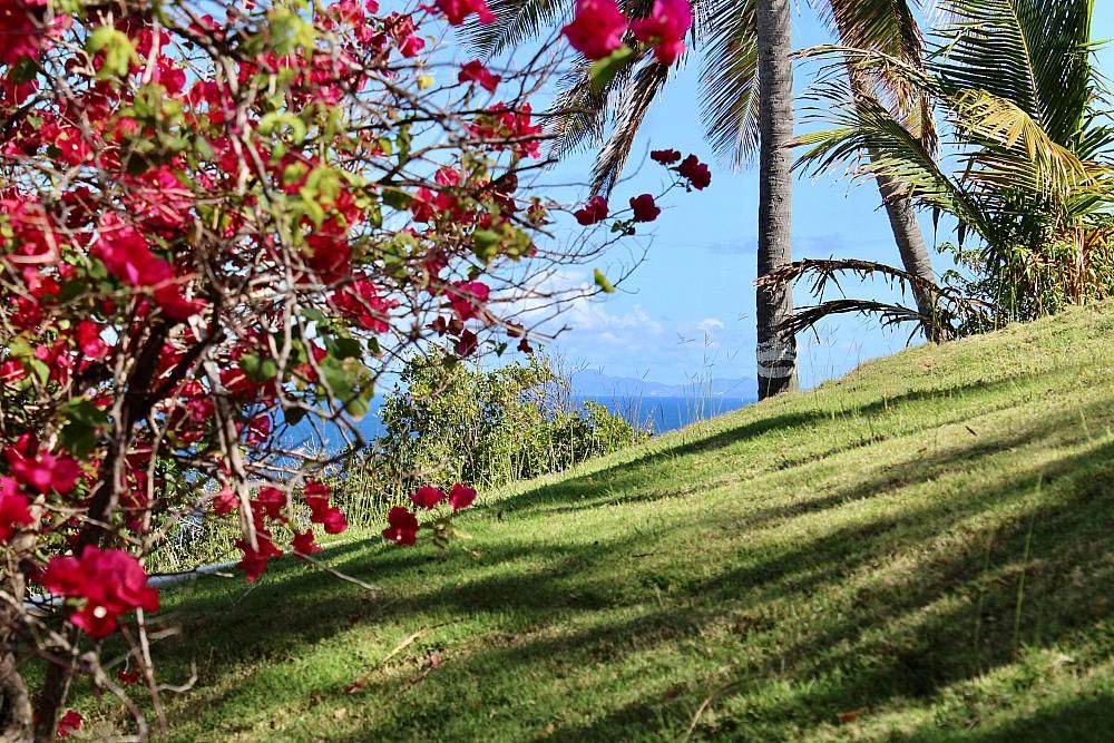 Property photo 2 of 2 Mount Du Cap