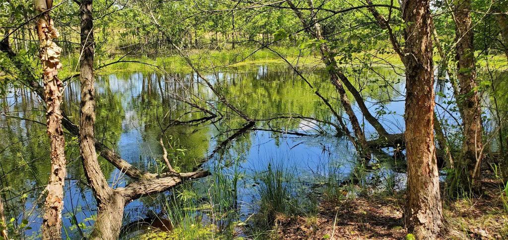 Property photo 1 of 25