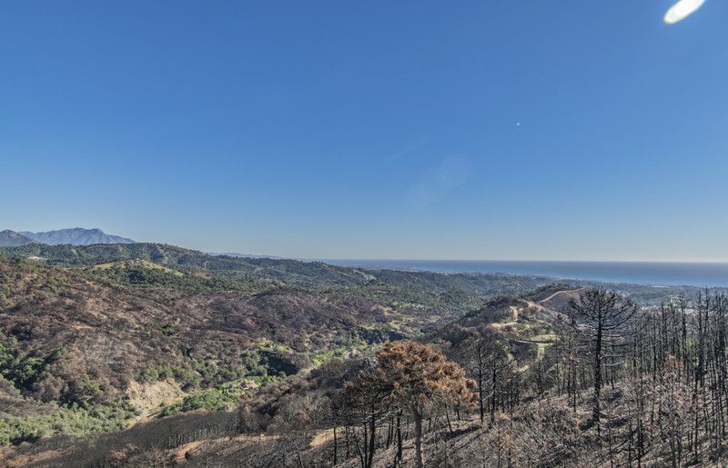 Property photo 3 of 47