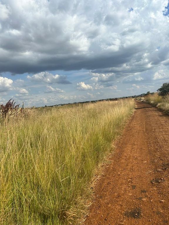 Property photo 3 of 4 Dirt Rural Path Winds Through Tall Golden Grass Under A Cloudy Sky, Stretching Toward The Horizon.