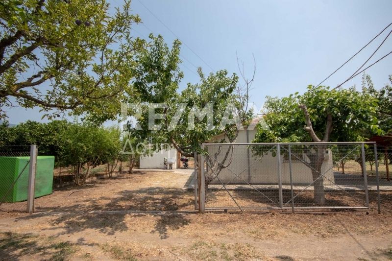 Property photo 2 of 24