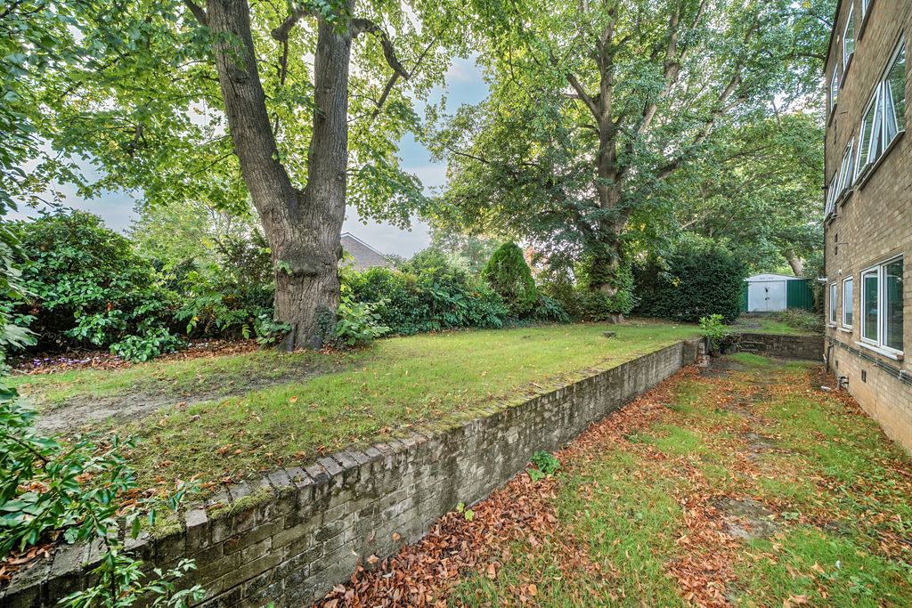 Property photo 3 of 19