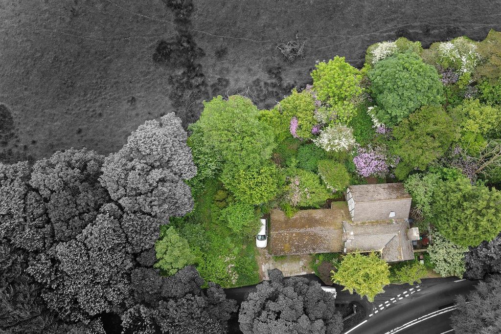 Property photo 2 of 17 Birds Eye B&amp;W (2).Jpg