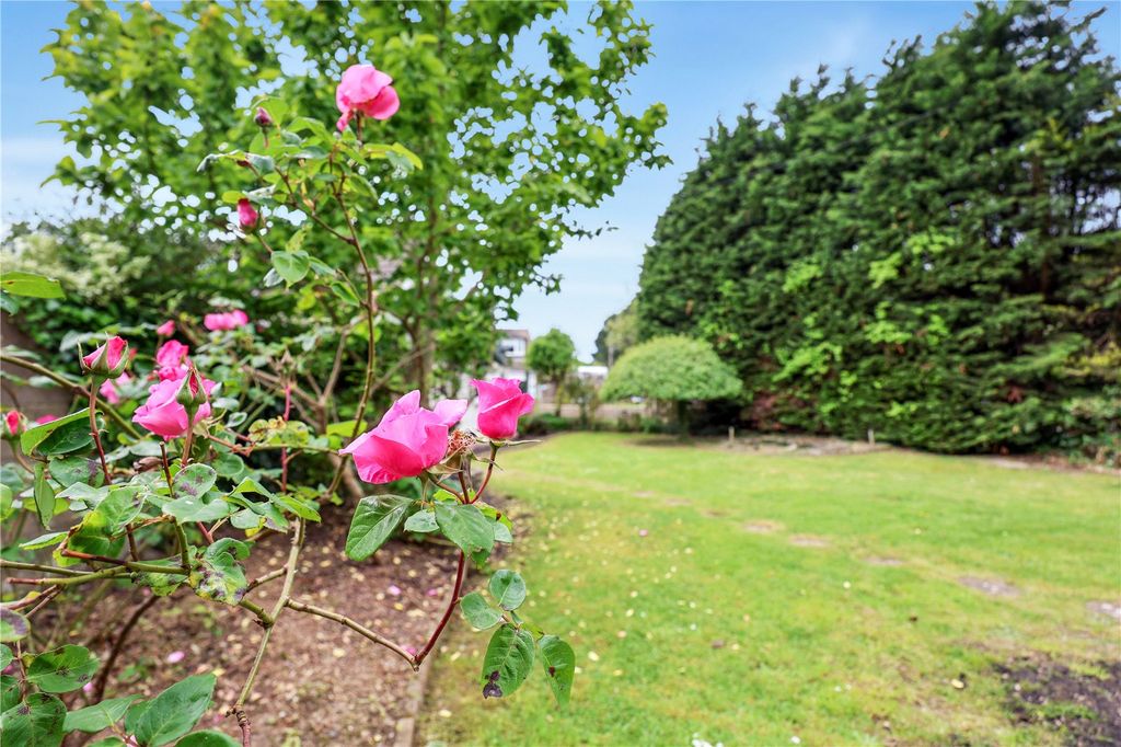 Property photo 2 of 22 Picture No. 18