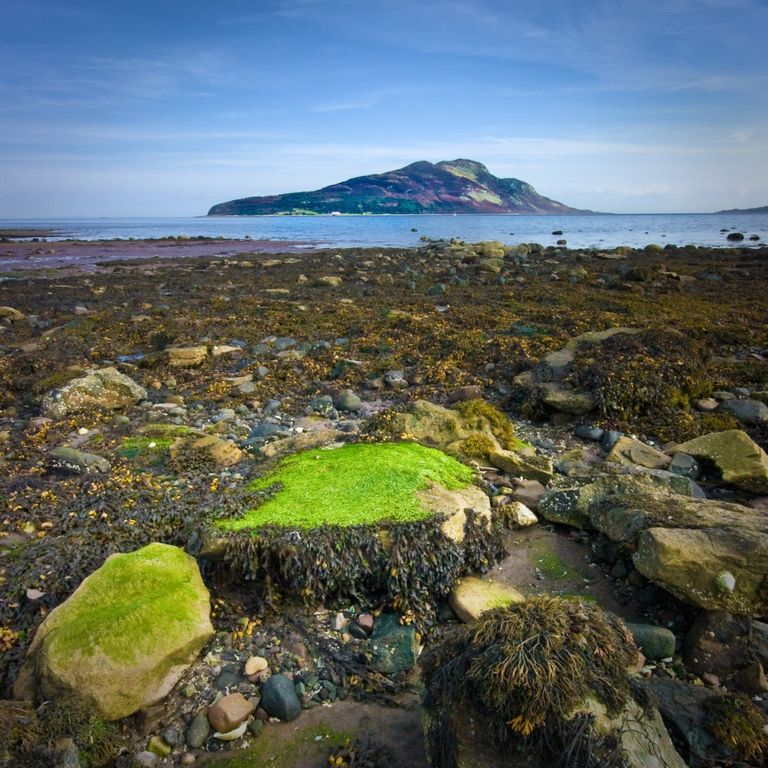 Additional image 23 of Studio for sale1 Prospect Hill Cottages, Clauchlands, Lamlash, Isle Of Arran, North Ayrshire KA27