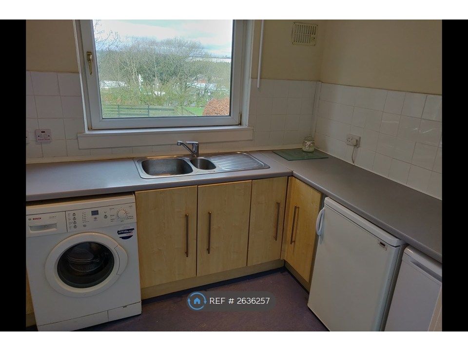 Property photo 3 of 14 Kitchen - Fridge, Freezer, Storage