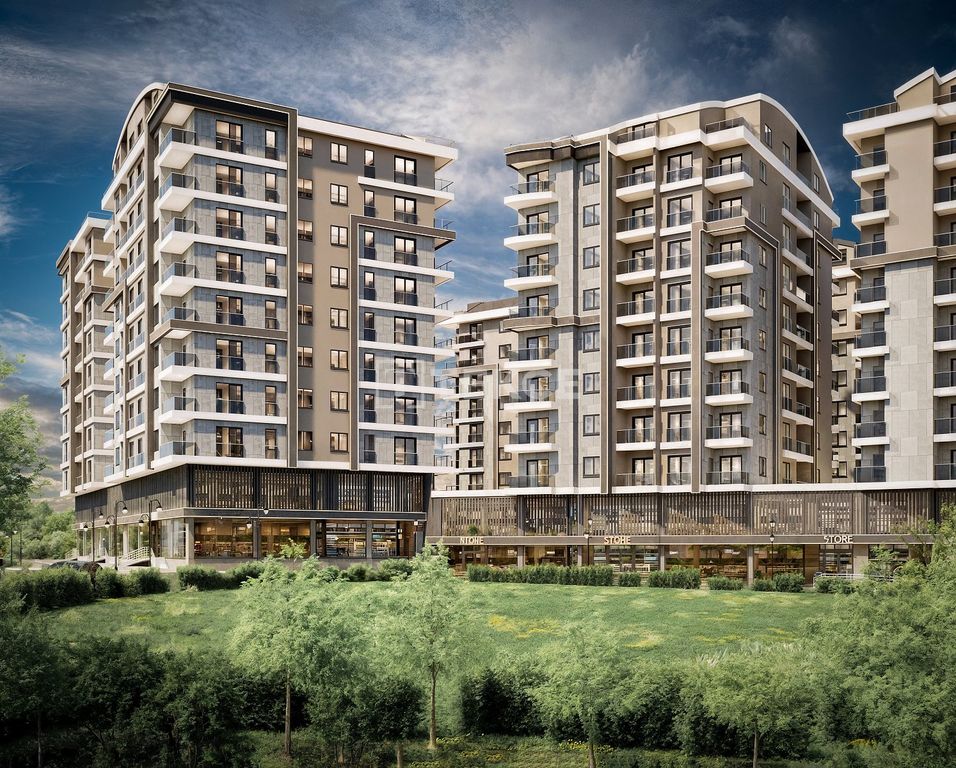 Property photo 3 of 12