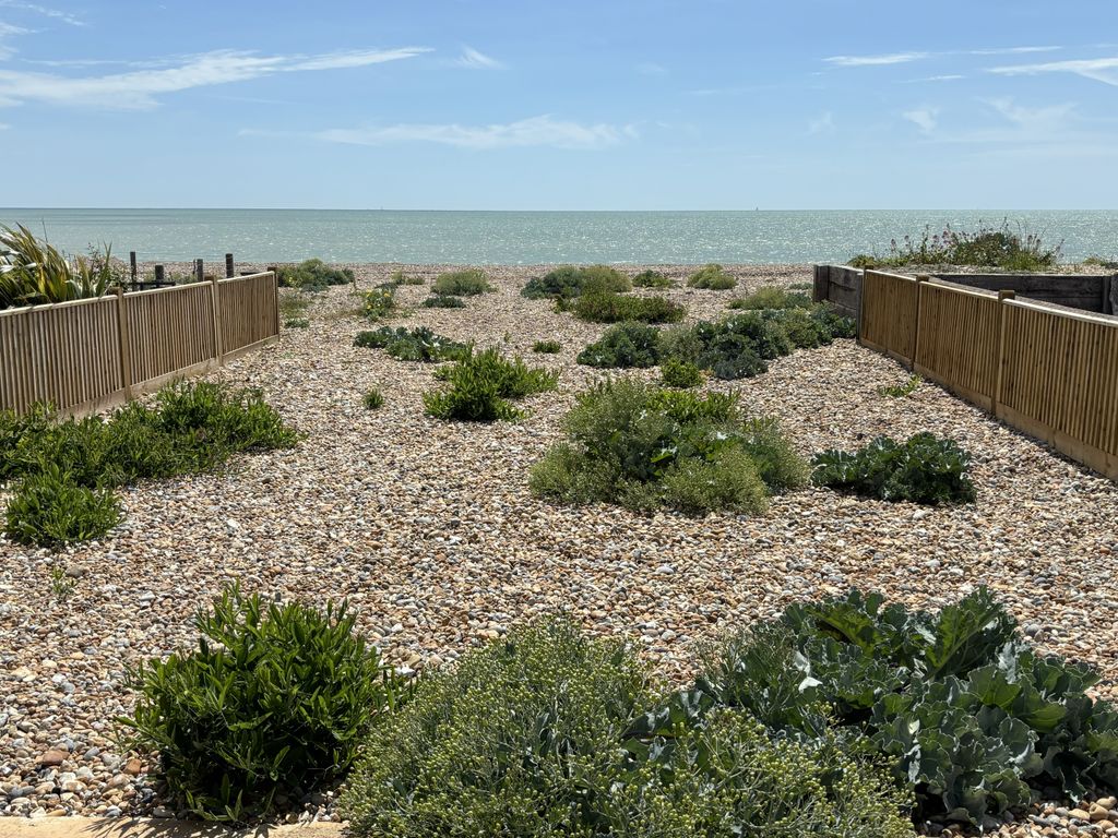 Property photo 3 of 31 Sea Views