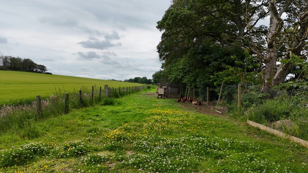 Property photo 2 of 38