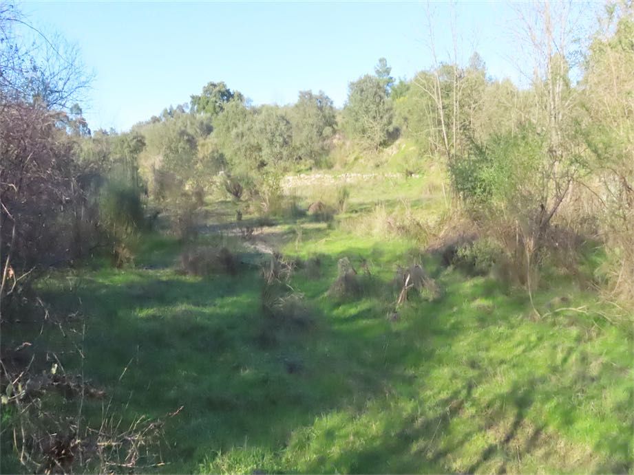 Property photo 1 of 48