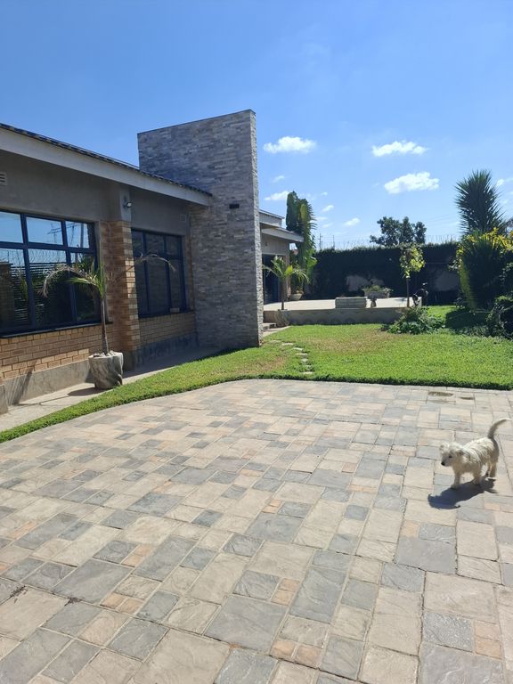 Property photo 3 of 20 Exterior View Of A Modern Building With Brick And Stone Faã§Ade, Blue-Framed Windows, And A Small White Dog On A Tiled Courtyard.