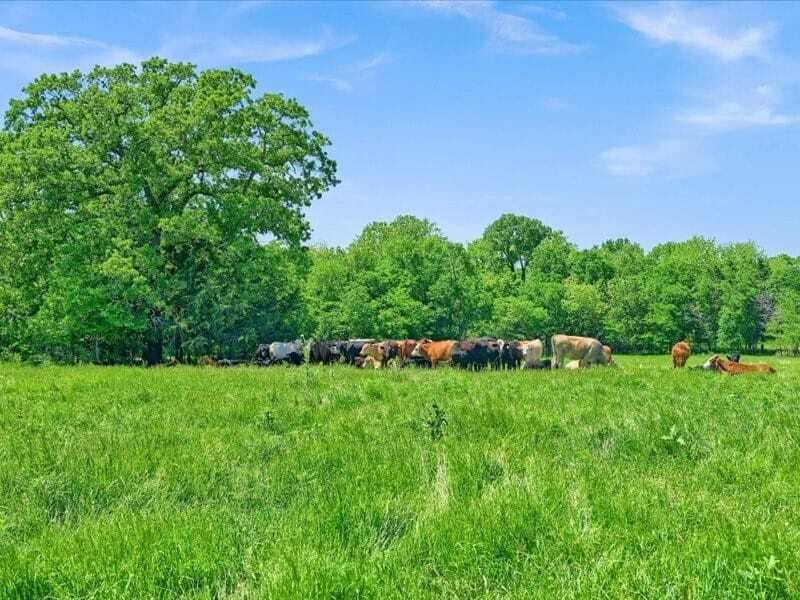 Property photo 3 of 31 <Alttext/>