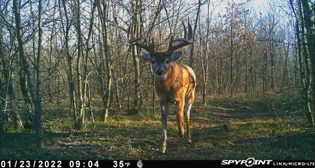 Property photo 1 of 3 <Alttext/>