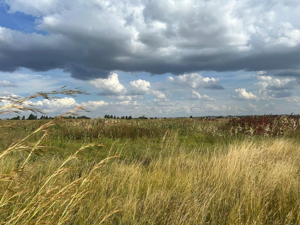 Property photo 2 of 4 Golden Field With Tall, Golden Grasses Under A Dramatic Cloudy Sky; Distant Trees On The Horizon.