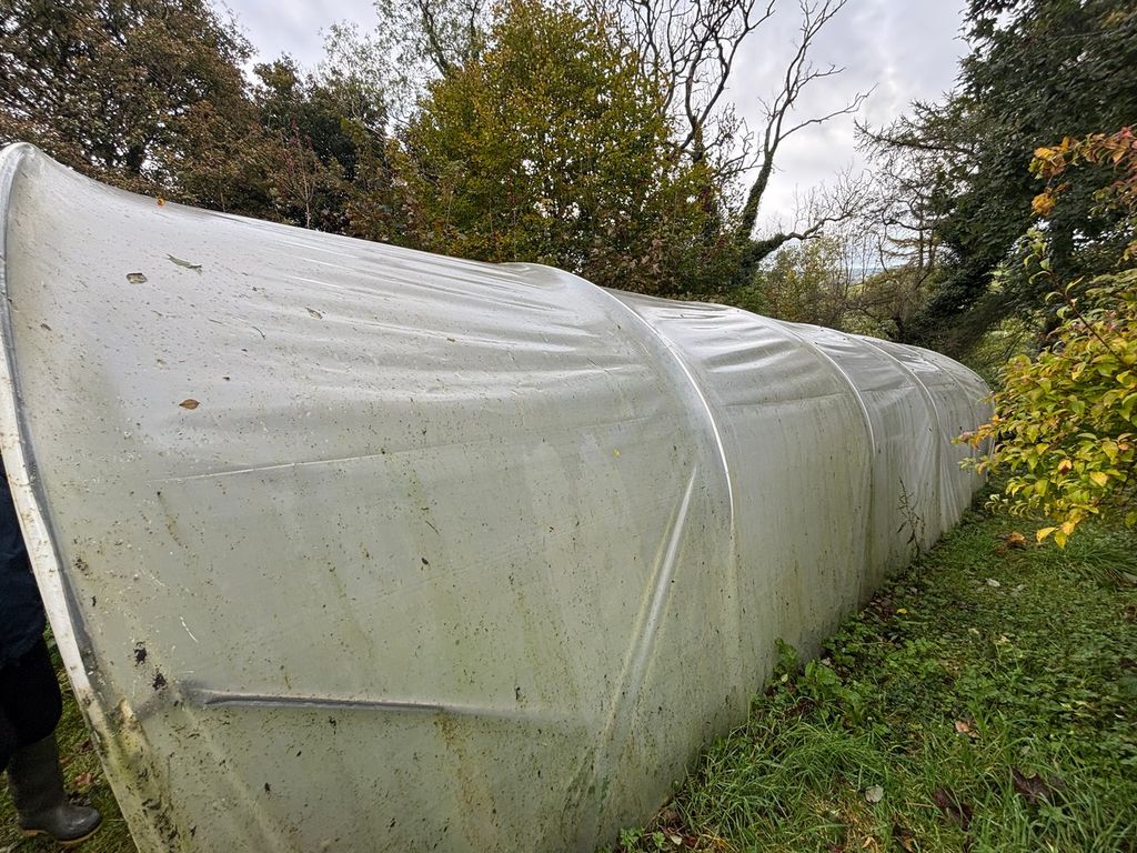 Additional image 19 of 4 bed farm for saleLlanddewi Brefi, Tregaron SY25