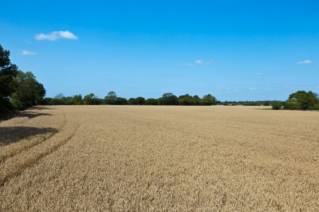 Property photo 2 of 3 Picture No. 23