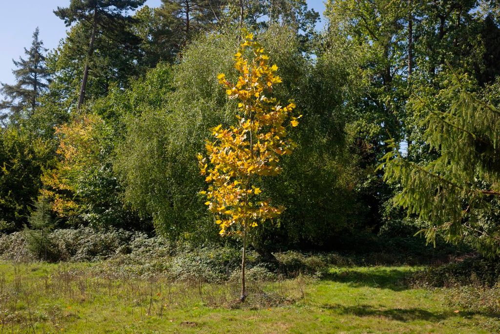 Property photo 3 of 5