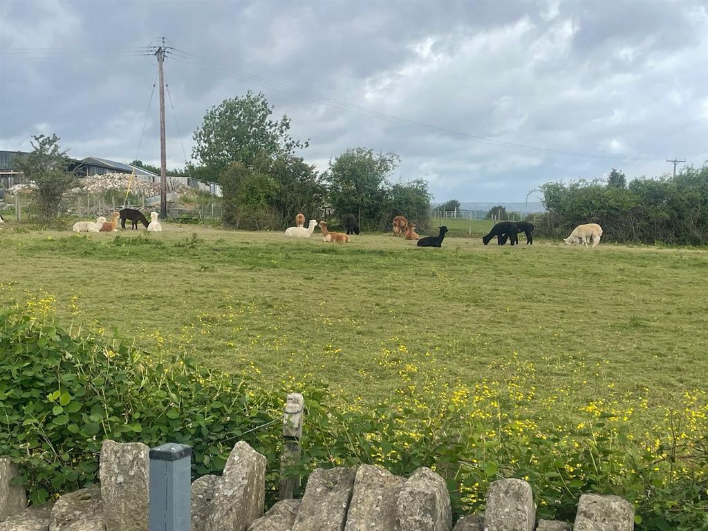 Property photo 3 of 46 Photo-2025-05-27-09-40-54.Jpg