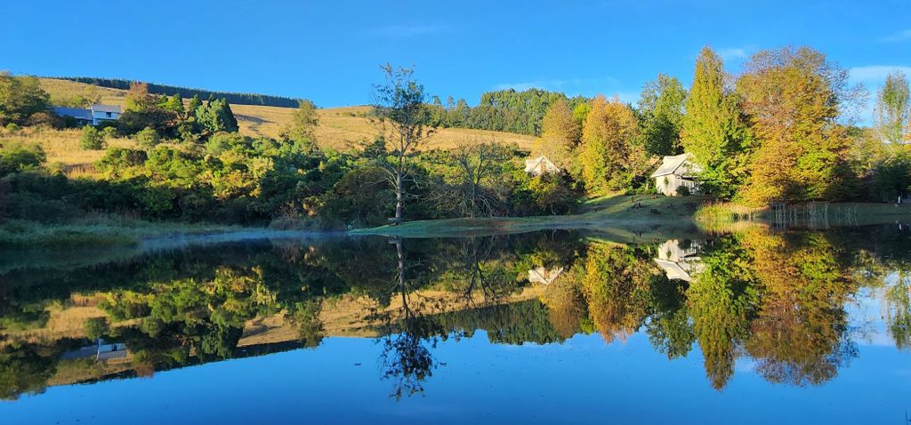 Property photo 1 of 58 1Pm1716105