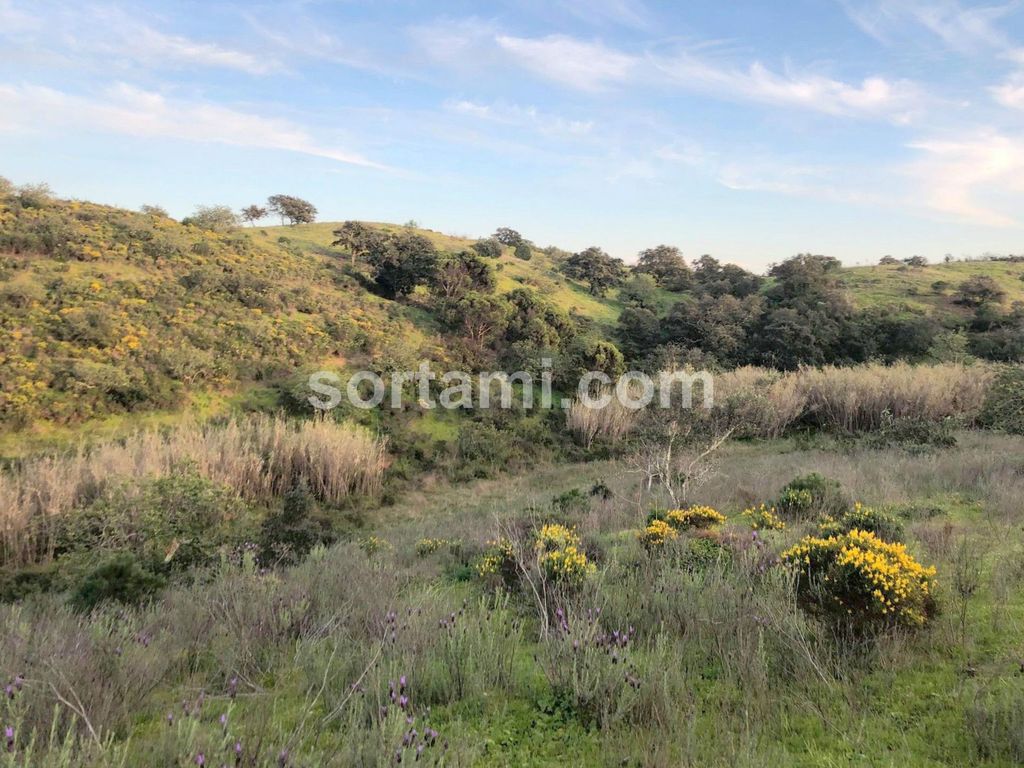 Property photo 3 of 4