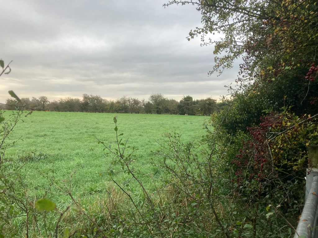 Property photo 3 of 5 Img_1919.Jpg