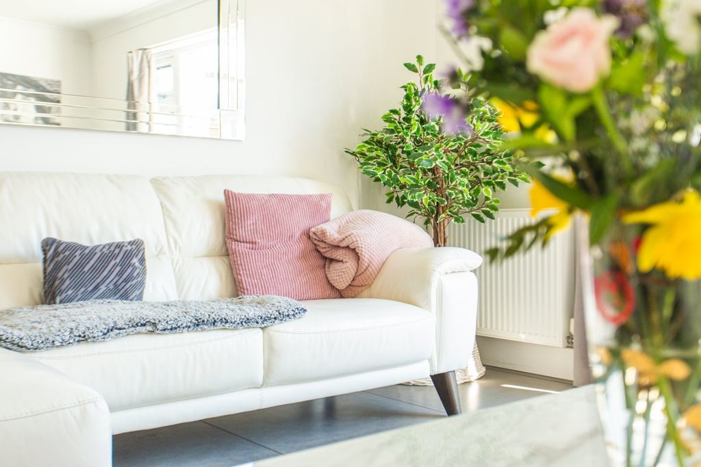 Property photo 3 of 24 Picture 3