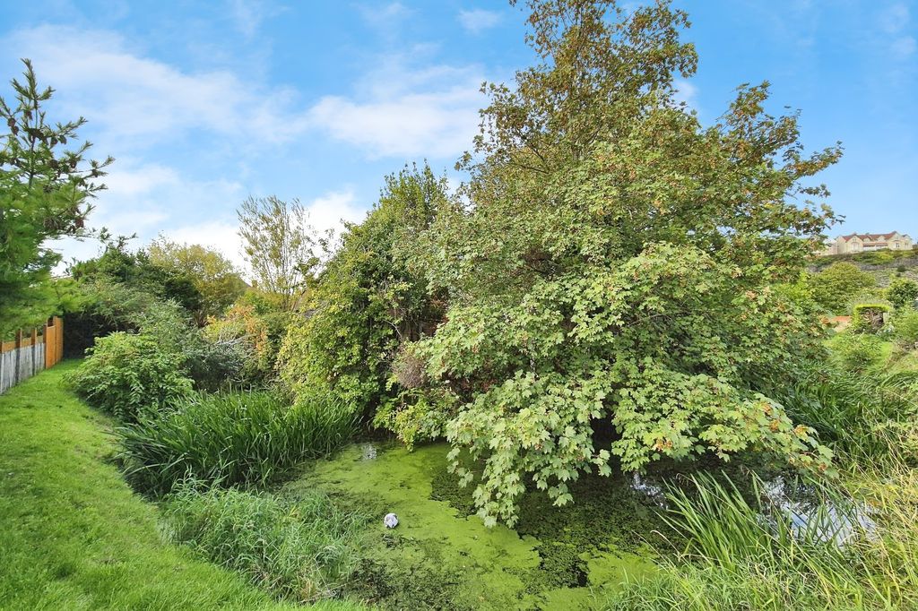 Property photo 2 of 19 Rear View