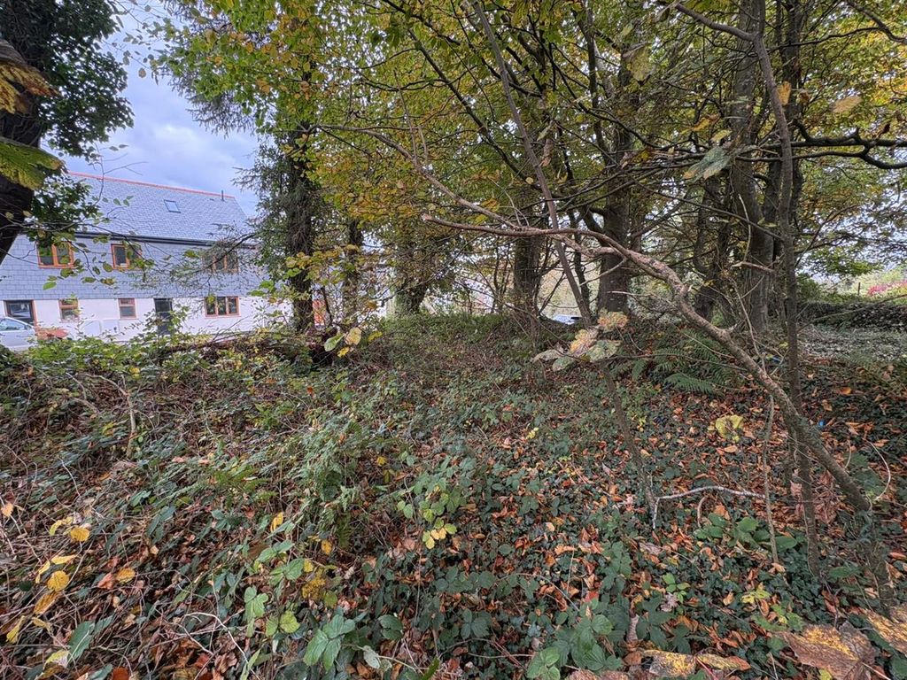 Additional image 7 of Land for saleTrewint, Launceston PL15