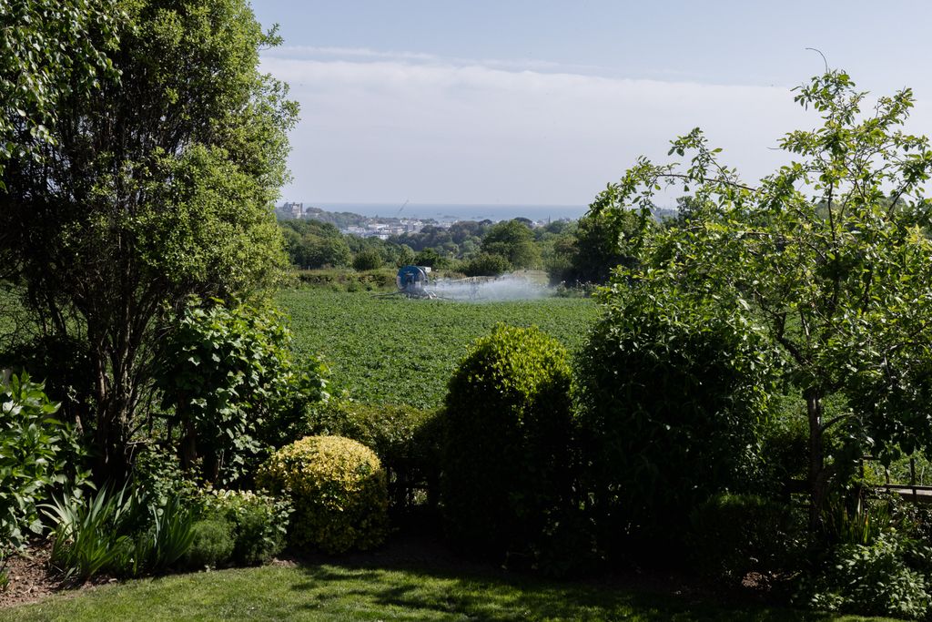 Property photo 3 of 20