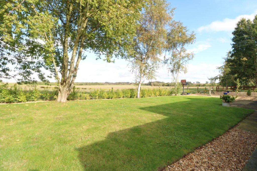 Property photo 2 of 19 Back Garden