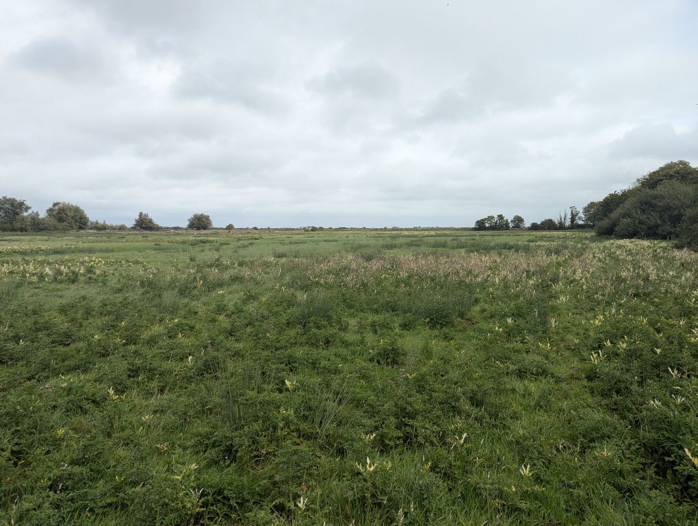 Property photo 3 of 3