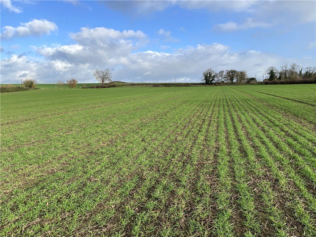 Property photo 2 of 5 View North