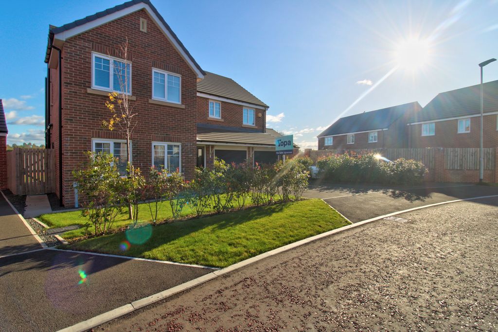 Property photo 2 of 31 Img_3793_4_5