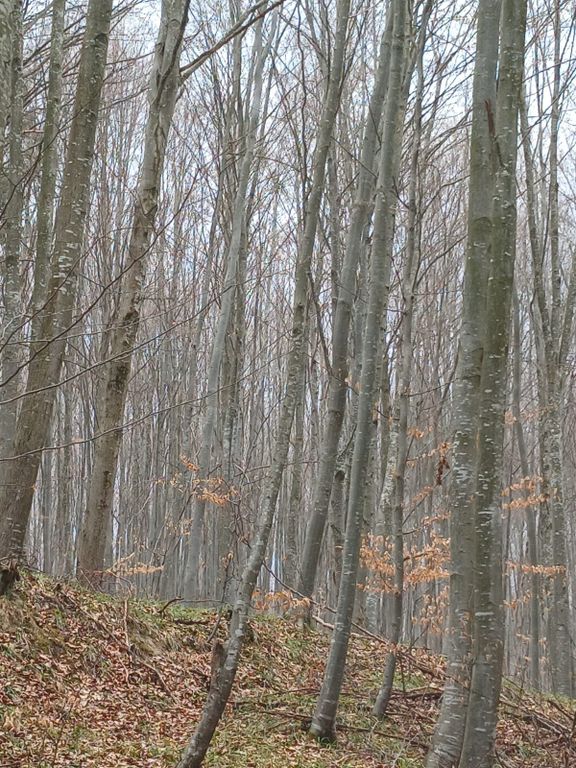 Property photo 2 of 3