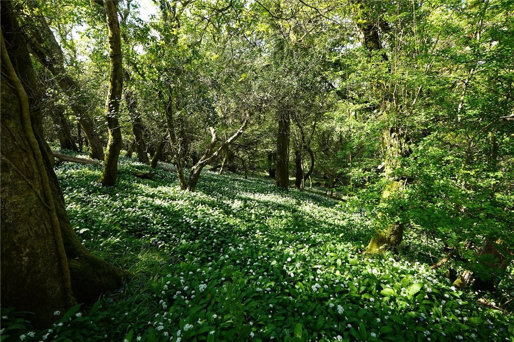 Additional image 5 of Land for saleSt. Keyne, Liskeard PL14