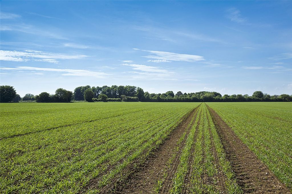 Property photo 3 of 7 Picture No. 03