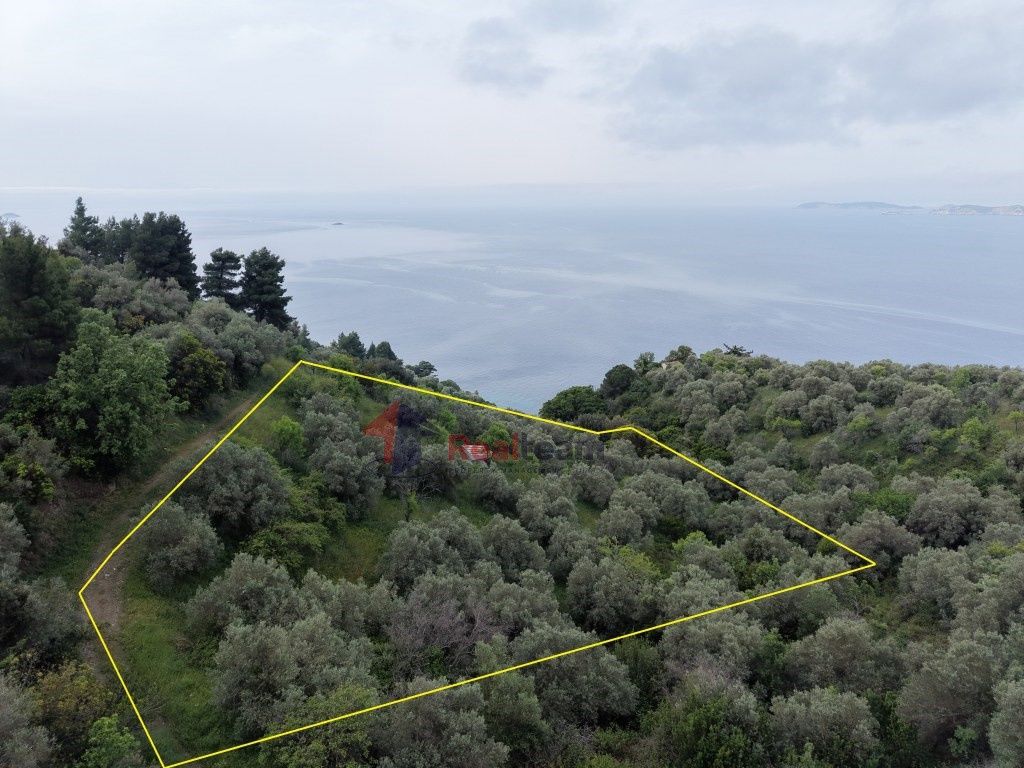 Property photo 1 of 29
