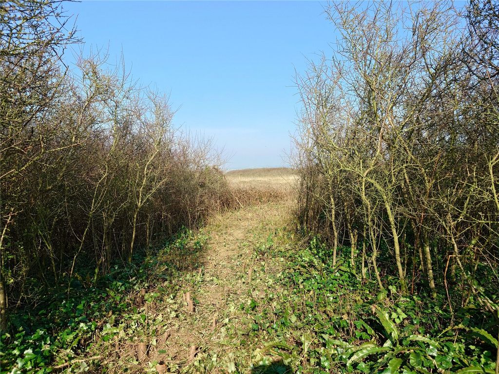 Property photo 2 of 7 Picture No. 01