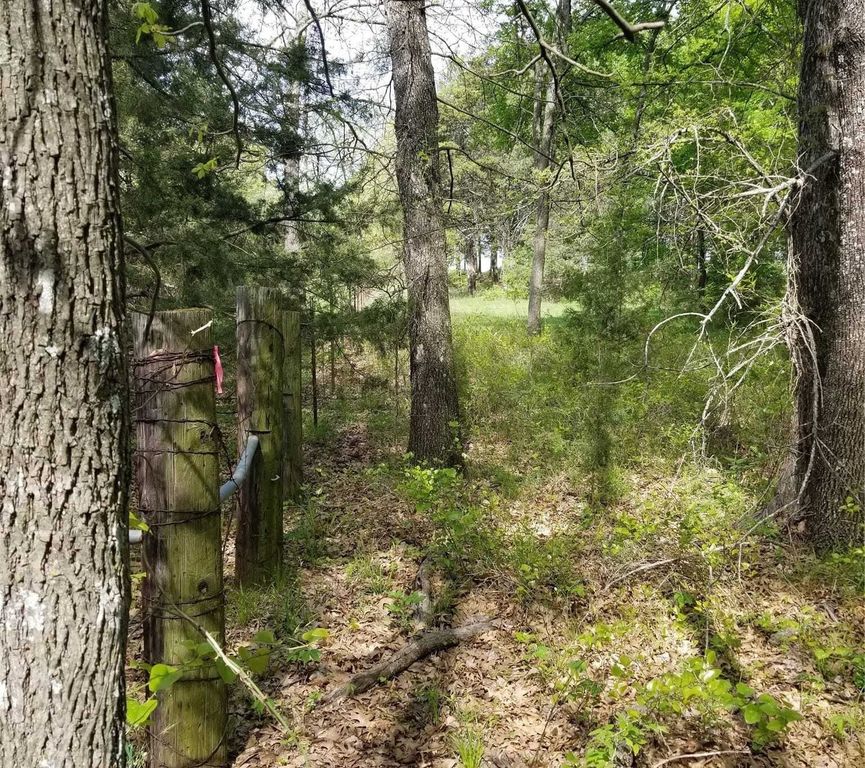 Property photo 2 of 6 <Alttext/>