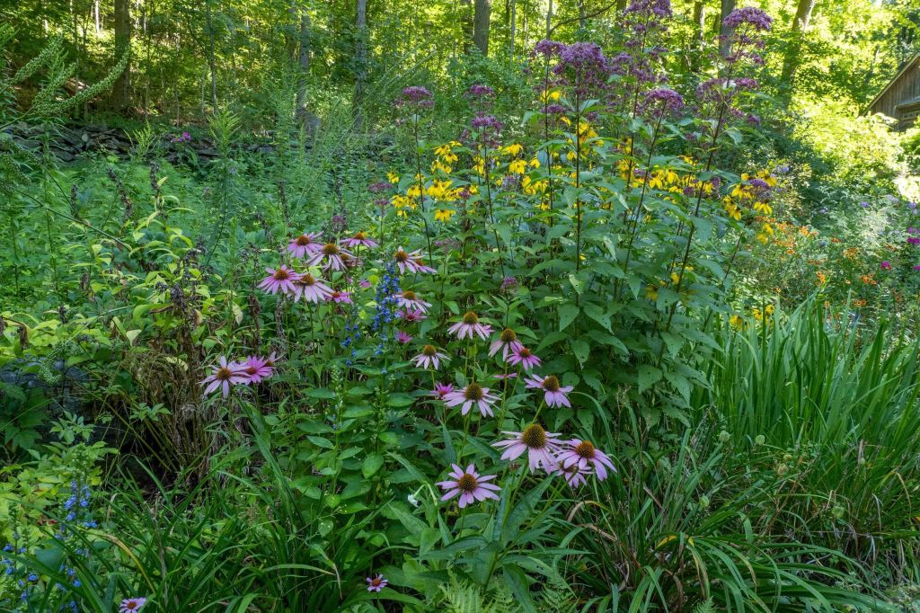 Property photo 3 of 31 <Alttext/>