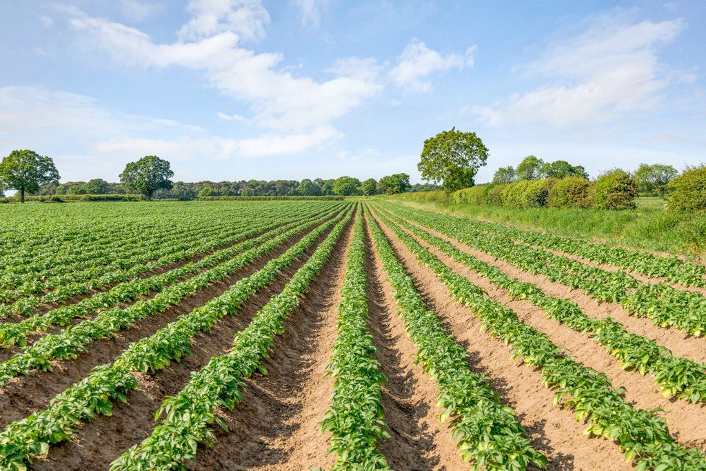 Additional image 4 of Land for saleGate Helmsley, York, North Yorkshire YO41