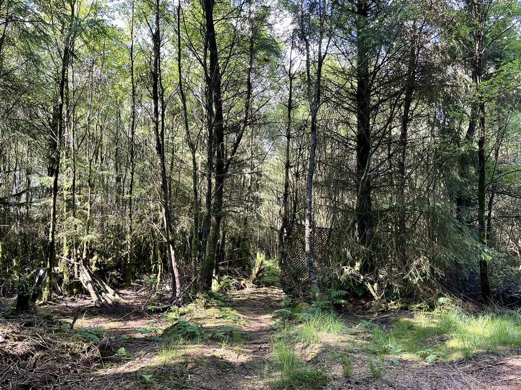 Property photo 3 of 10 Clearing.Jpeg
