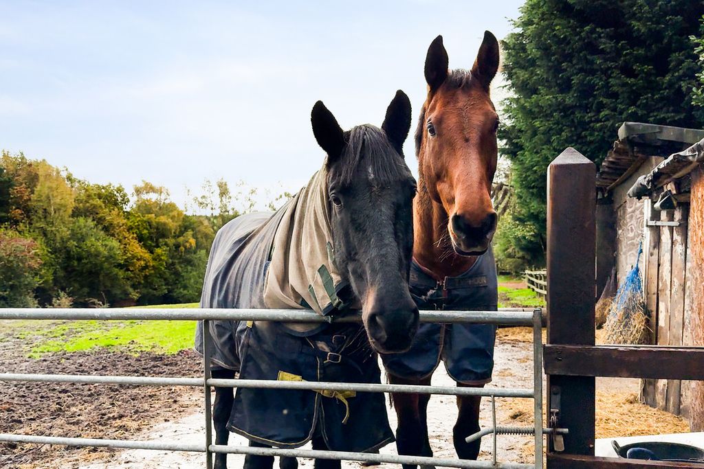 Property photo 3 of 50